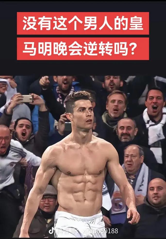 扑后排
