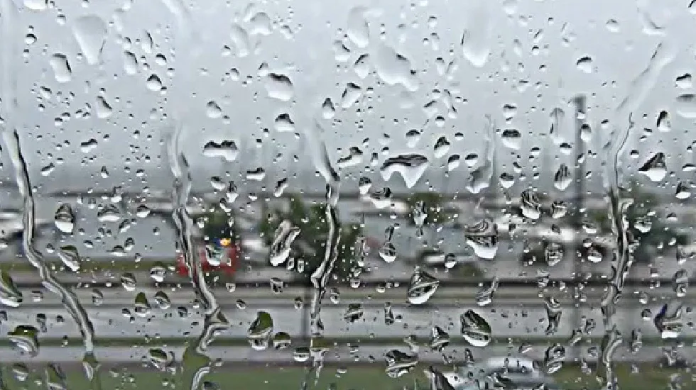 Video Post Format - 麻将胡了3